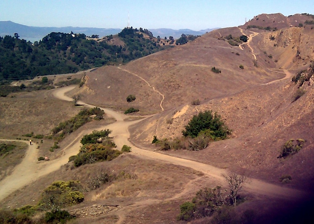 Paths in Sibley Volcanic Regional Preserve